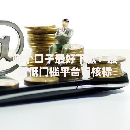 哪个口子最好下款？最新低门槛平台审核标准及快速到账攻略