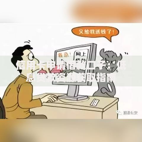 信用卡申请借款口子：低息贷款资源获取指南