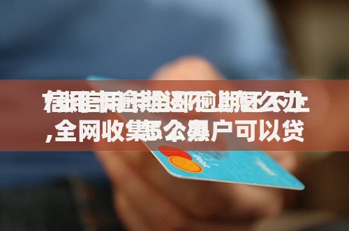 信用卡逾期还不上怎么办,全网收集5个黑户可以贷款的口子