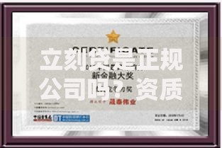 立刻贷是正规公司吗？资质、利率、风险深度解析