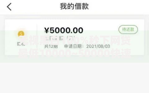无视黑白100%秒下网贷最低10000~50000快速到账指南
