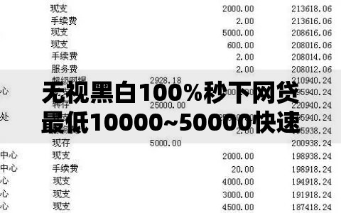 无视黑白100%秒下网贷最低10000~50000快速到账指南