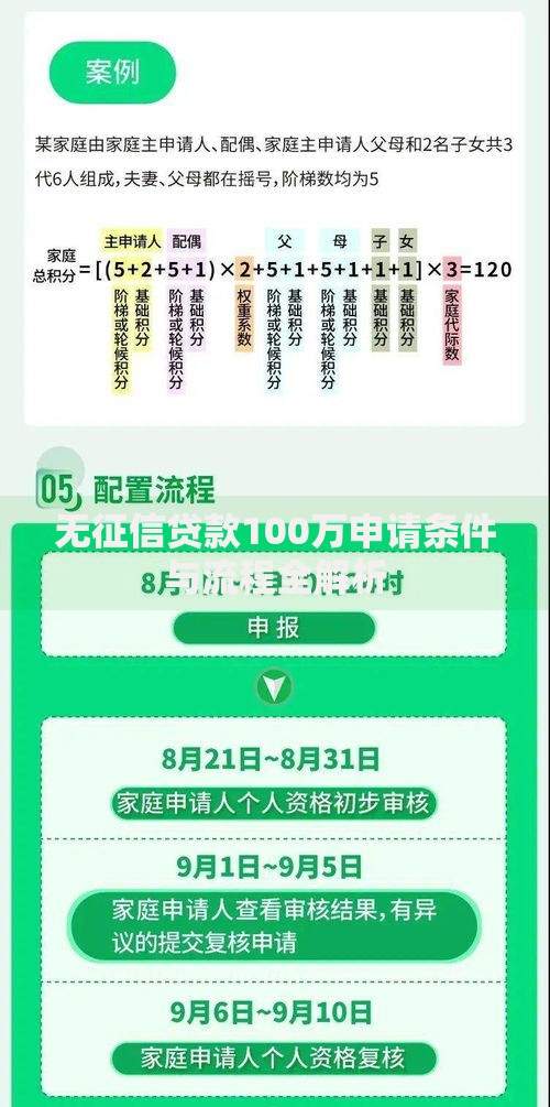 无征信贷款100万申请条件与流程全解析