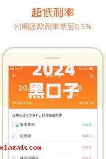 2024黑口子下款平台,隆重介绍5个贷款快的平台