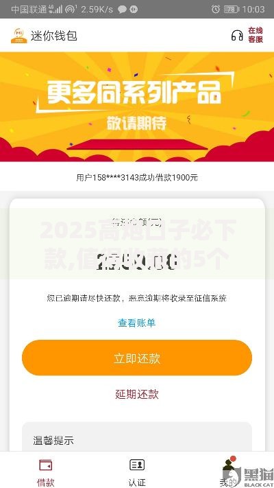2025高炮口子必下款,值得收藏的5个18岁能贷款的平台