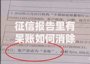 征信报告里有呆账如何消除？三步解决不良记录难题