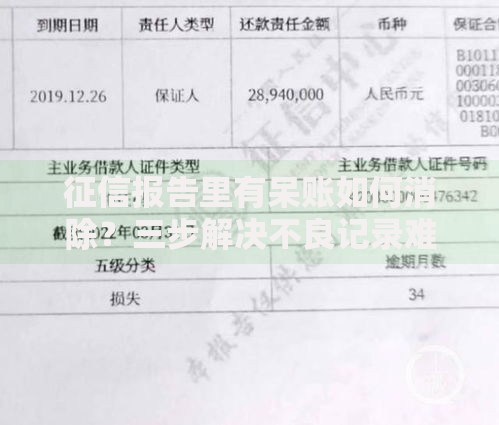 征信报告里有呆账如何消除？三步解决不良记录难题
