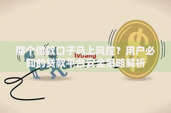 那个借款口子马上风控？用户必知的贷款平台安全策略解析