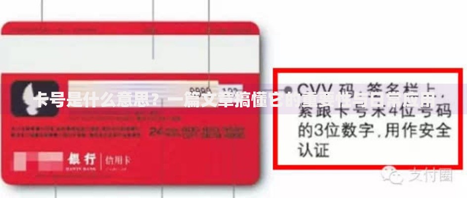 卡号是什么意思？一篇文章搞懂它的重要性与日常应用