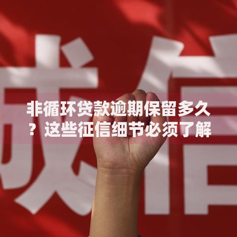 非循环贷款逾期保留多久？这些征信细节必须了解