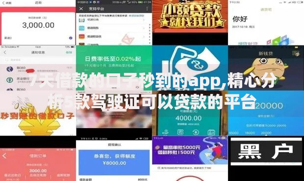 7天借款的口子秒到的app,精心分析5款驾驶证可以贷款的平台