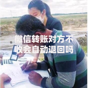 微信转账对方不收会自动退回吗？搞懂这3个规则才能安心