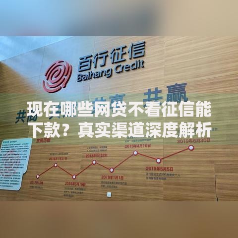 现在哪些网贷不看征信能下款？真实渠道深度解析