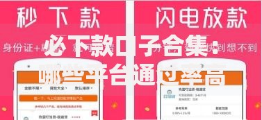 必下款口子合集：哪些平台通过率高？如何快速申请？
