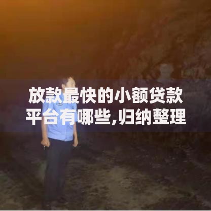 放款最快的小额贷款平台有哪些,归纳整理5个各种黑还能下款的口子