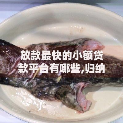 放款最快的小额贷款平台有哪些,归纳整理5个各种黑还能下款的口子
