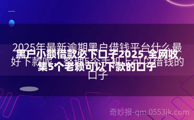 黑户小额借款必下口子2025,全网收集5个老赖可以下款的口子
