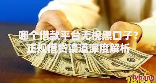 哪个借款平台无视黑口子？正规借贷渠道深度解析