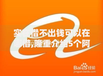 实在借不出钱可以在哪借,隆重介绍5个阿里巴巴贷款平台