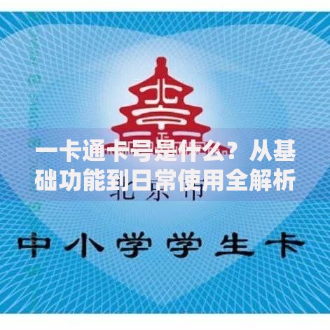 一卡通卡号是什么？从基础功能到日常使用全解析