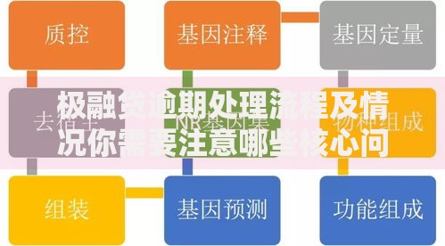 极融贷逾期处理流程及情况你需要注意哪些核心问题