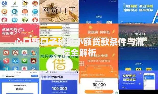 心口新口子秒批小额贷款条件与流程全解析