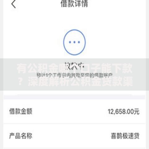 有公积金哪个口子能下款？深度解析公积金贷款渠道及注意事项