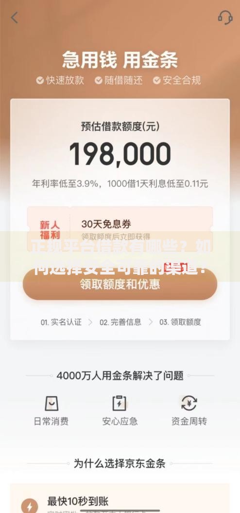 正规平台借款有哪些？如何选择安全可靠的渠道？