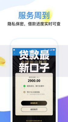 贷款最新口子论坛：如何快速获取低息正规渠道？