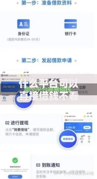 什么平台可以直接借钱不看征信？正规低息快速到账渠道解析