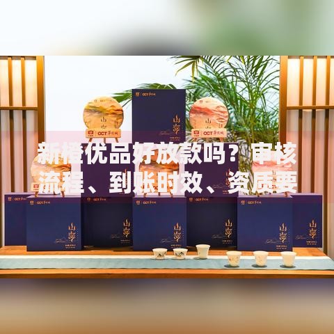 新橙优品好放款吗？审核流程、到账时效、资质要求全解析