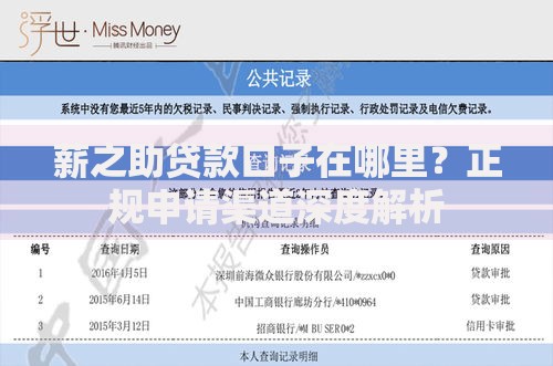 薪之助贷款口子在哪里?正规申请渠道深度解析 薪之助贷款口子在哪里?正规申请渠道深度解析