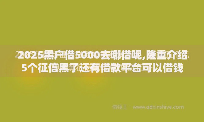 2025黑户借5000去哪借呢,隆重介绍5个征信黑了还有借款平台可以借钱