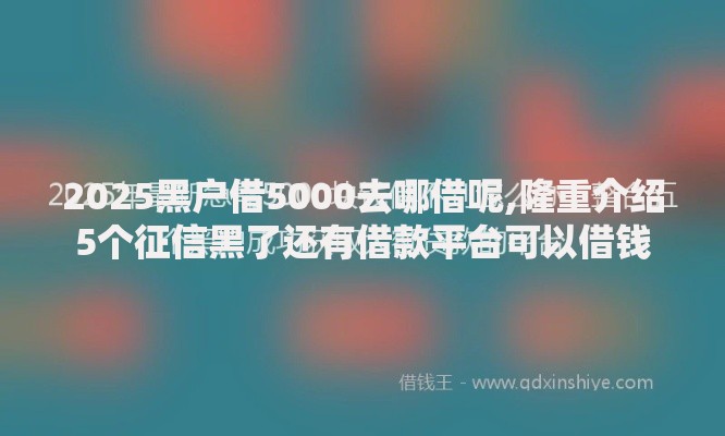 2025黑户借5000去哪借呢,隆重介绍5个征信黑了还有借款平台可以借钱