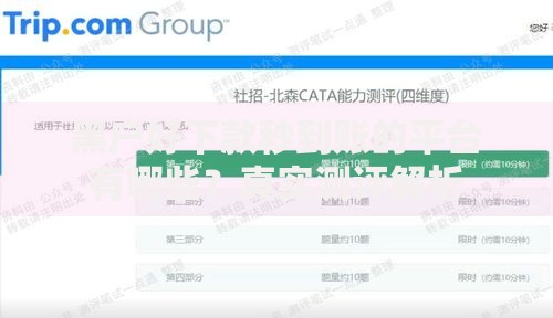 黑户好下款秒到账的平台有哪些？真实测评解析