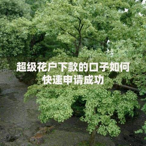 超级花户下款的口子如何快速申请成功