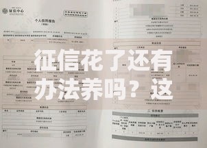 征信花了还有办法养吗？这5种修复方法必须知道