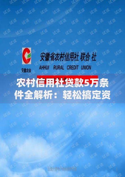 农村信用社贷款5万条件全解析：轻松搞定资金难题