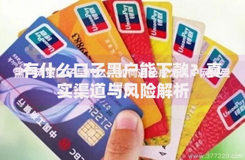 有什么口子黑户能下款？真实渠道与风险解析