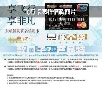 飞行卡是哪个贷款口子？产品特点与申请流程深度解析