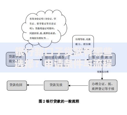 银行新口子贷款有哪些选择？申请条件与流程全解析