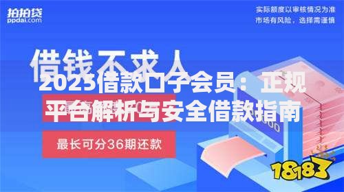 2025借款口子会员：正规平台解析与安全借款指南