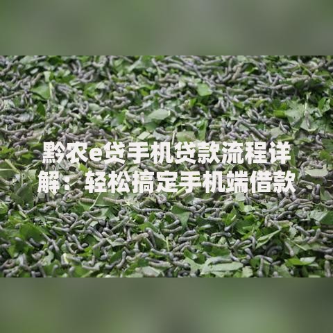 黔农e贷手机贷款流程详解：轻松搞定手机端借款步骤