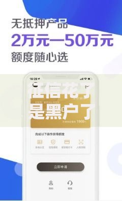 征信花了是黑户了吗,归纳整理5个黑户口子必下款