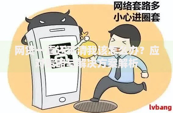 网贷一直还不清我该怎么办？应对策略与解决方案解析
