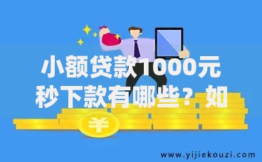 小额贷款1000元秒下款有哪些？如何选择正规平台