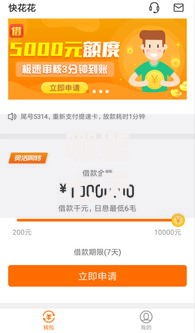 什么口子用信用卡下款快？审核流程与额度解析
