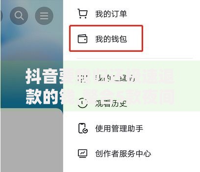 抖音要我归还极速退款的钱,整合5款夜间贷款秒审核秒下款的平台