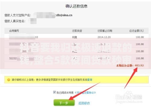 抖音要我归还极速退款的钱,整合5款夜间贷款秒审核秒下款的平台