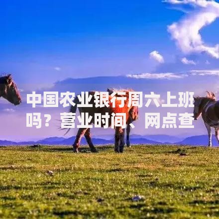中国农业银行周六上班吗？营业时间、网点查询攻略来了